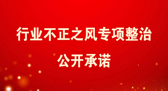 行業(yè)不正之風(fēng)專(zhuān)項(xiàng)整治公開(kāi)承諾